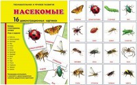 Демонстрационные карточки "Насекомые" - fgospostavki.ru - Новочеркасск