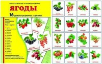 Демонстрационные карточки "Ягоды" - fgospostavki.ru - Новочеркасск