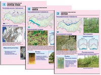 Комплект таблиц по географии "Природные зоны России" раздаточные (цветные, ламинированные, А4, 10 штук) - fgospostavki.ru - Новочеркасск