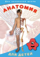 DVD "Анатомия для детей" - fgospostavki.ru - Новочеркасск