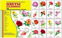 Демонстрационные карточки "Цветы садовые" - fgospostavki.ru - Новочеркасск