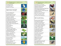 Комплект карточек (10) "Обучающий калейдоскоп. Природа" - fgospostavki.ru - Новочеркасск