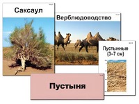 Модель-аппликация "Природные зоны России" (ламинированная) - fgospostavki.ru - Новочеркасск
