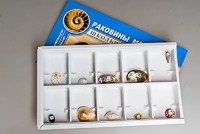 Коллекция "Раковины моллюсков" - fgospostavki.ru - Новочеркасск
