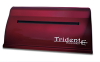 Принтер для печати рельефно-точечным шрифтом Брайля Trident - fgospostavki.ru - Новочеркасск