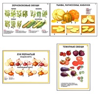 Плакаты ПРОФТЕХ "Ассортимент овощных культур" (12 пл, винил, 70х100) - fgospostavki.ru - Новочеркасск