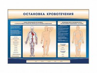 Электрифицированный стенд-тренажер "Остановка кровотечения" - fgospostavki.ru - Новочеркасск