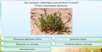 Интерактивные курсы. Окружающий мир 3 класс . Базовый. - fgospostavki.ru - Новочеркасск