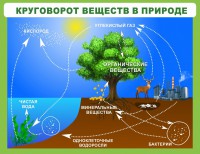 Стенд "Круговорот веществ" - fgospostavki.ru - Новочеркасск