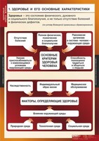 Комплект таблиц. ОБЖ. Здоровый образ жизни. - fgospostavki.ru - Новочеркасск