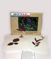 Гербарий "Дикорастущие растения" (28 видов) - fgospostavki.ru - Новочеркасск