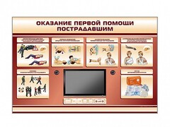 Многофункциональный интерактивный стенд-тренажер "Оказание первой помощи пострадавшим" для учащихся общеобразовательных учреждений - fgospostavki.ru - Новочеркасск