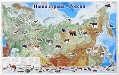 Магнитные карточки "Животные" - fgospostavki.ru - Новочеркасск