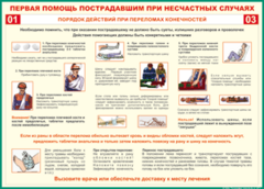 Таблица "Порядок действий при переломах конечностей" (100х140 сантиметров, винил) - fgospostavki.ru - Новочеркасск