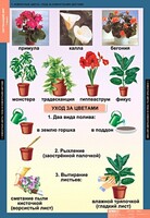 Комплект таблиц. Окружающий мир 1 класс. - fgospostavki.ru - Новочеркасск