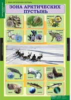 Комплект таблиц. Окружающий мир 4 класс. - fgospostavki.ru - Новочеркасск