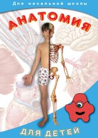DVD "Анатомия для детей" - fgospostavki.ru - Новочеркасск
