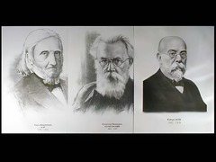 Портреты биологов (26 штук, формат А3) - fgospostavki.ru - Новочеркасск