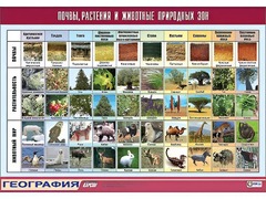 Таблица демонстрационная "Почвы, растения и животные природных зон" (винил 70*100) - fgospostavki.ru - Новочеркасск