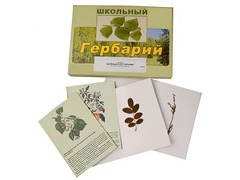Гербарий "Деревья и кустарники" (22 вида, с иллюстрациями) - fgospostavki.ru - Новочеркасск