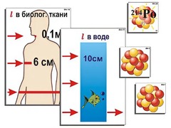 Модель-аппликация "Явление радиоактивности" (ламинированная) - fgospostavki.ru - Новочеркасск