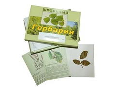 Гербарий "Дикорастущие растения" (30 видов, с иллюстрациями) - fgospostavki.ru - Новочеркасск