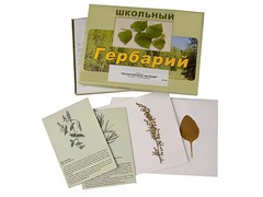 Гербарий "Лекарственные растения" (22 вида с иллюстрациями) - fgospostavki.ru - Новочеркасск