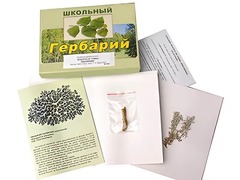 Гербарий "Водоросли. Грибы. Лишайники" (раздаточный) - fgospostavki.ru - Новочеркасск