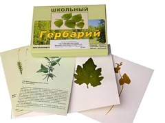 Гербарий "Систематика растений. Высшие споровые и семенные" (раздаточный) - fgospostavki.ru - Новочеркасск