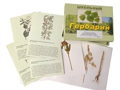 Гербарий "Систематика растений. Семейство Бобовые. Злаки" (раздаточный) - fgospostavki.ru - Новочеркасск