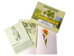 Гербарий "Систематика растений. Семейство Пасленовые. Крестоцветные. Сложноцветные" (раздаточный) - fgospostavki.ru - Новочеркасск