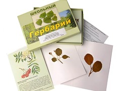 Гербарий "Систематика растений. Семейство Розоцветные" (раздаточный) - fgospostavki.ru - Новочеркасск