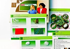 Коллекция "Шелк и продукты его переработки" (средняя школа) - fgospostavki.ru - Новочеркасск