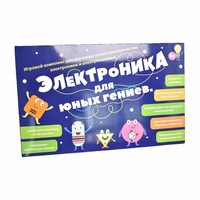 Игровой комплекс Электроника для юных гениев - fgospostavki.ru - Новочеркасск