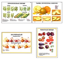 Плакаты ПРОФТЕХ "Ассортимент овощных культур" (12 пл, винил, 70х100) - fgospostavki.ru - Новочеркасск