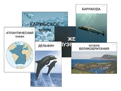 Модель-аппликация "Океаны. Знакомство" (ламинированная) - fgospostavki.ru - Новочеркасск