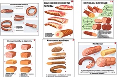 Плакаты ПРОФТЕХ "Ассортимент колбасной и мясной продукции" (11 пл, винил, 70х100) - fgospostavki.ru - Новочеркасск