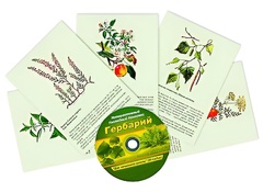 Интерактивный наглядный комплекс "Гербарий "Для начальной школы" - fgospostavki.ru - Новочеркасск