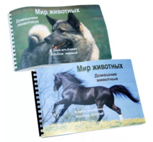 Пособие для слабовидящих - Домашние животные - fgospostavki.ru - Новочеркасск