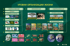 Электрифицированный стенд "Уровни организации жизни" - fgospostavki.ru - Новочеркасск