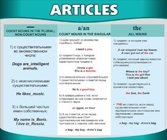 Стенд "Артикли" - fgospostavki.ru - Новочеркасск