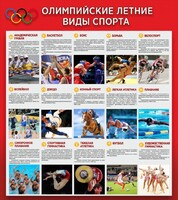 Стенд "Олимпийские летние виды спорта" - fgospostavki.ru - Новочеркасск