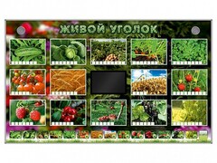 Комплект оборудования "Живой уголок" (растения) - fgospostavki.ru - Новочеркасск