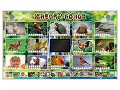 Комплект оборудования "Живой уголок" (животные) - fgospostavki.ru - Новочеркасск
