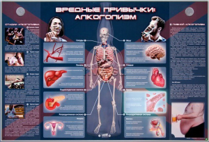 Электрифицированный стенд "Вредные привычки: алкоголизм" - fgospostavki.ru - Новочеркасск