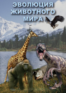 DVD "Эволюция животного мира" - fgospostavki.ru - Новочеркасск