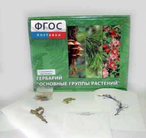Гербарий "Основные группы растений" (52 листа) - fgospostavki.ru - Новочеркасск