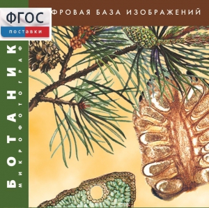 Ботаника. Микрофотографии. (Цифровая база изображений) - fgospostavki.ru - Новочеркасск