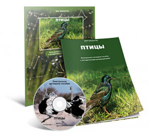 Электронное наглядное пособие «Птицы» - fgospostavki.ru - Новочеркасск