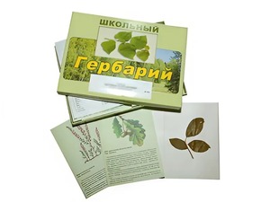Гербарий "Дикорастущие растения" (30 видов, с иллюстрациями) - fgospostavki.ru - Новочеркасск